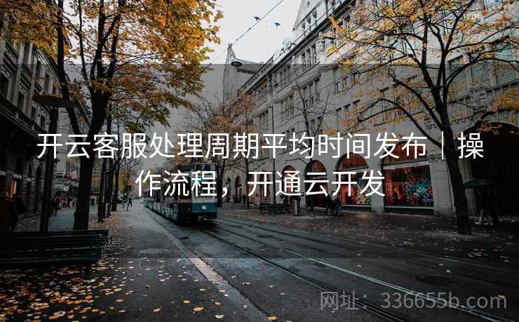 开云客服处理周期平均时间发布｜操作流程，开通云开发