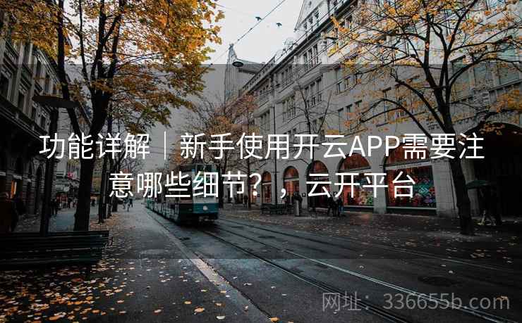 功能详解｜新手使用开云APP需要注意哪些细节？，云开平台