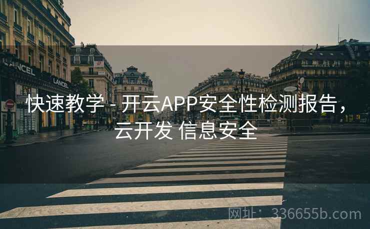 快速教学 - 开云APP安全性检测报告，云开发 信息安全