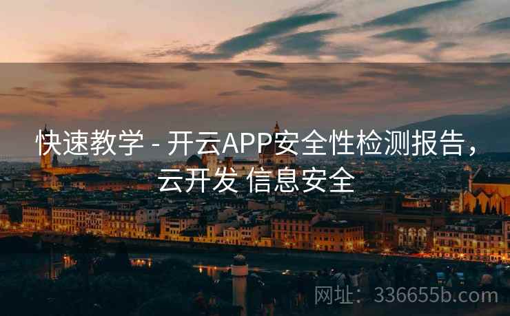 快速教学 - 开云APP安全性检测报告，云开发 信息安全