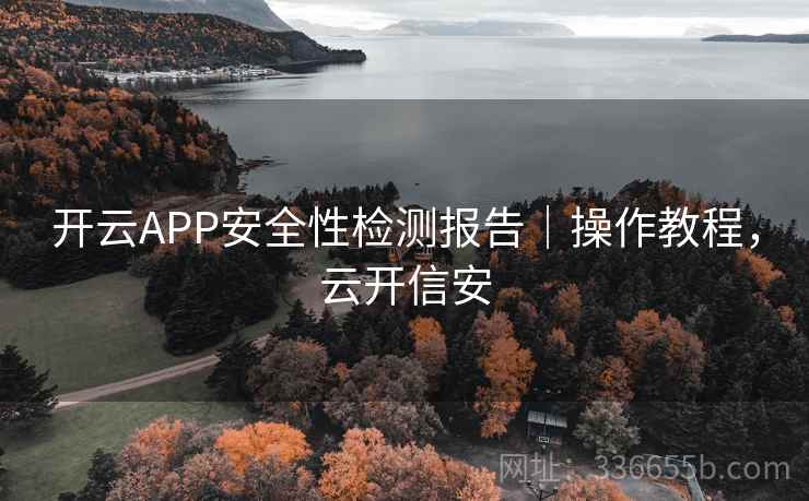 开云APP安全性检测报告｜操作教程，云开信安