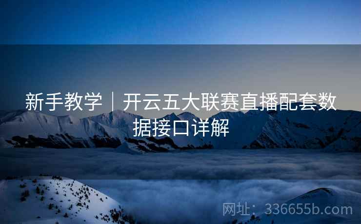 新手教学｜开云五大联赛直播配套数据接口详解