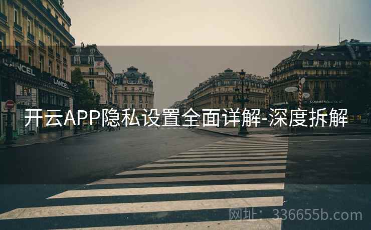 开云APP隐私设置全面详解-深度拆解